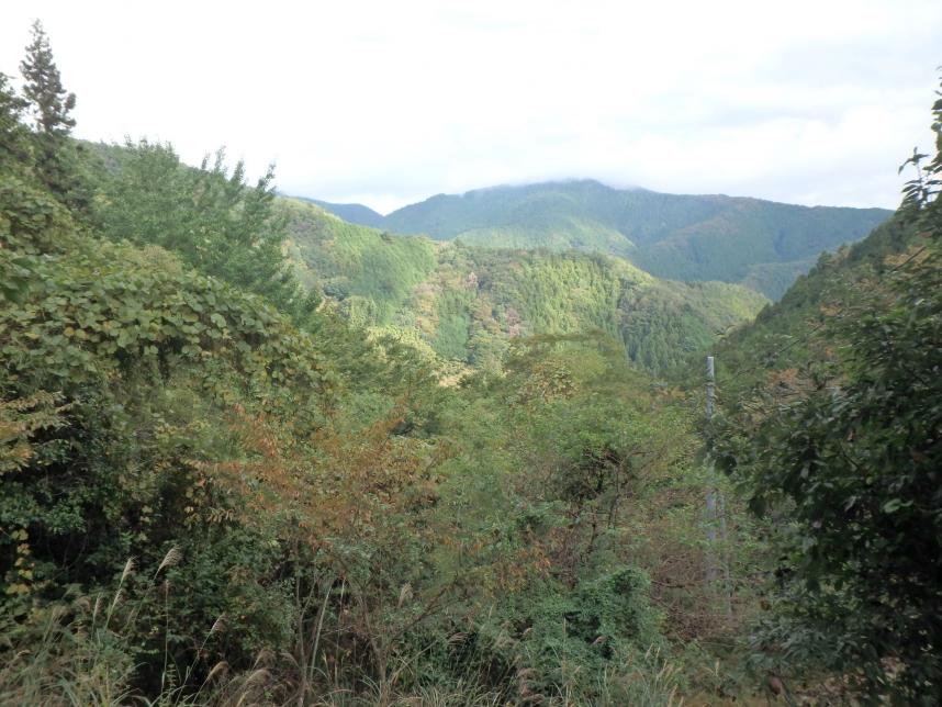 三国山　登山口周辺