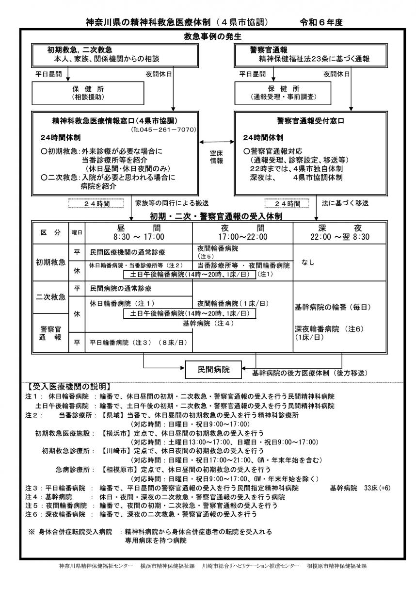 R6精神科救急医療体制図