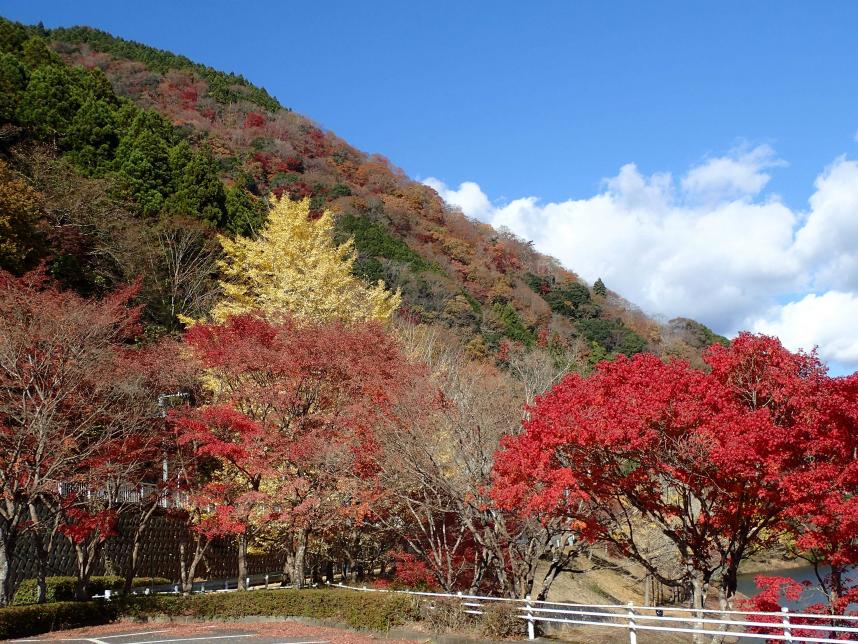 12月6日丹沢湖