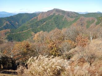 11月29日陣馬山山頂から生藤山方面散り始め