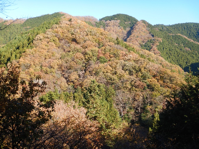 11月29日陣馬山和田登山口