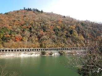 相模湖から見た嵐山