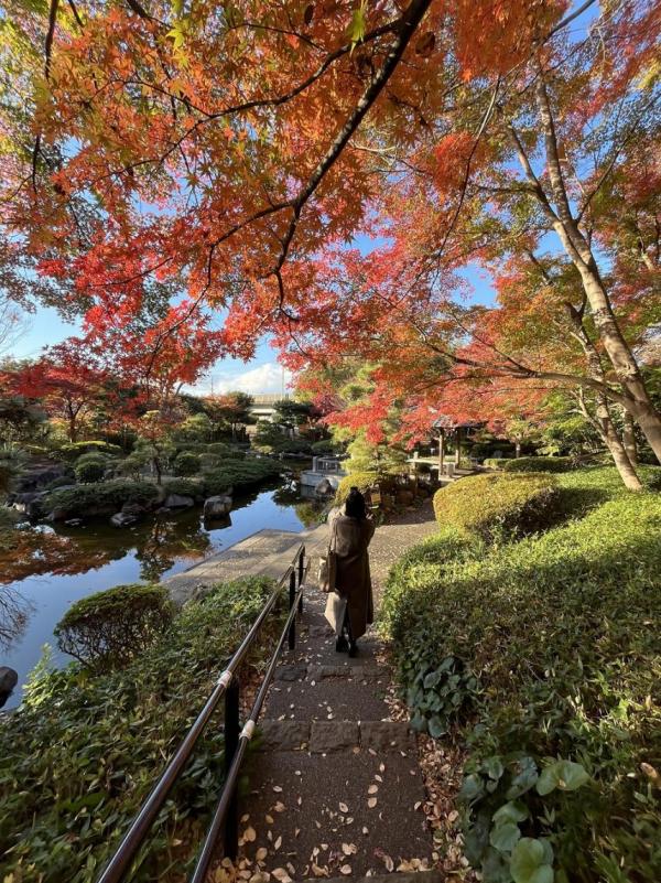 城山公園