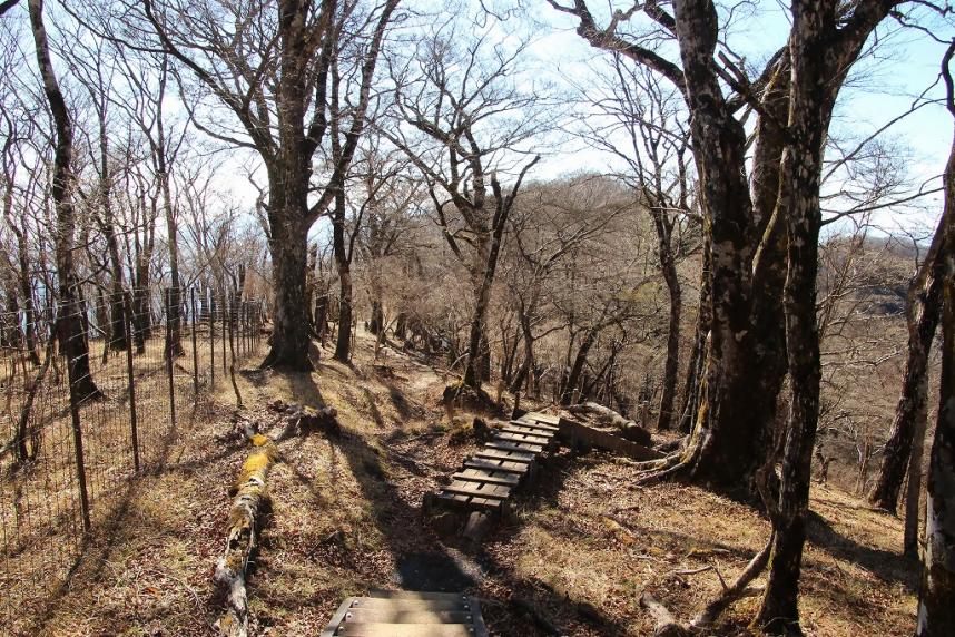 1129nabewarisanryo_ichikawa