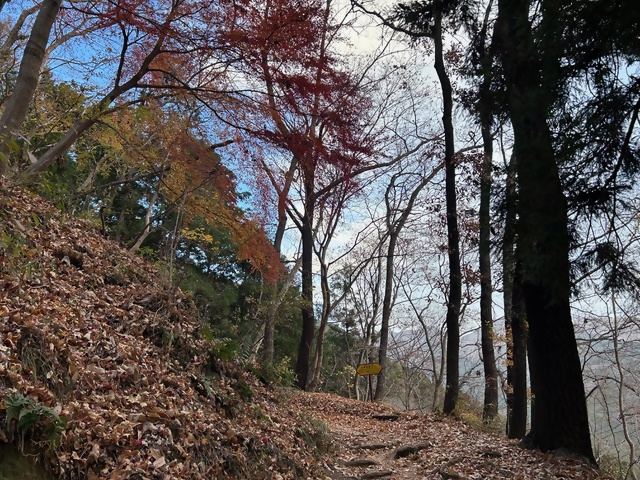 12月19日大倉尾根見晴茶屋