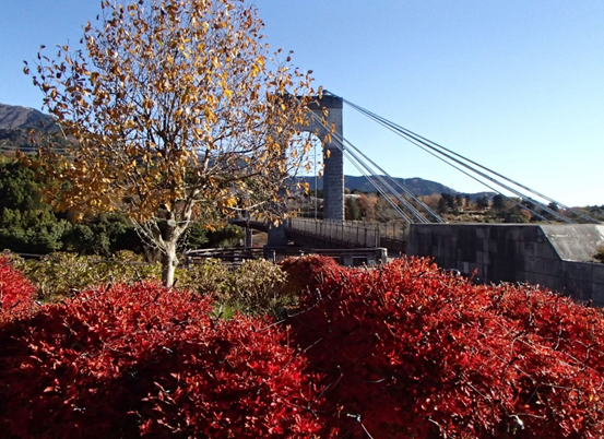 大倉　戸川公園