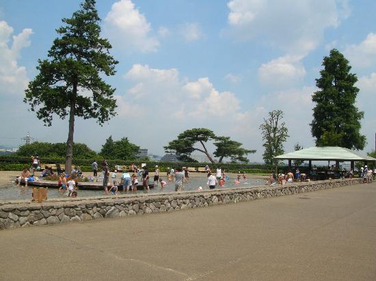 ぼうさいの丘公園　遊びの池