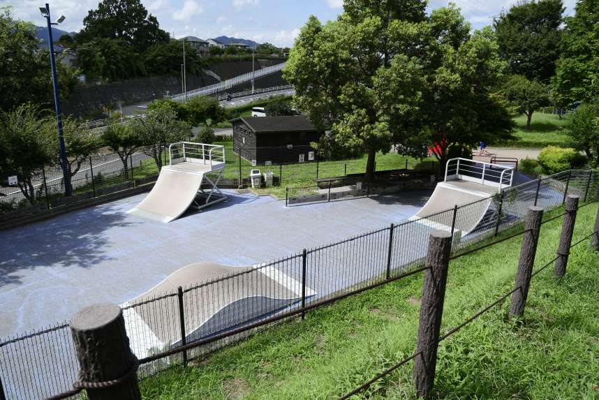 ぼうさいの丘公園スケートボード場