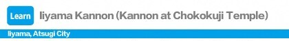 Iiyama Kannon (Kannon at Chokokuji Temple)
