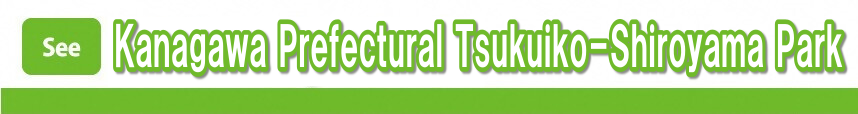 Kanagawa Prefectural Tsukuiko-Shiroyama Park