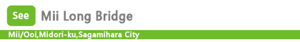 Mii Long Bridge
