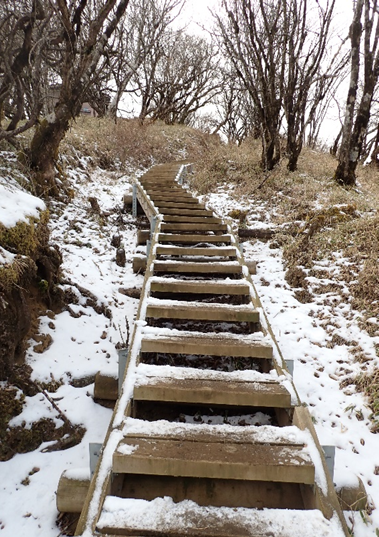 塔ノ岳山頂北側直下