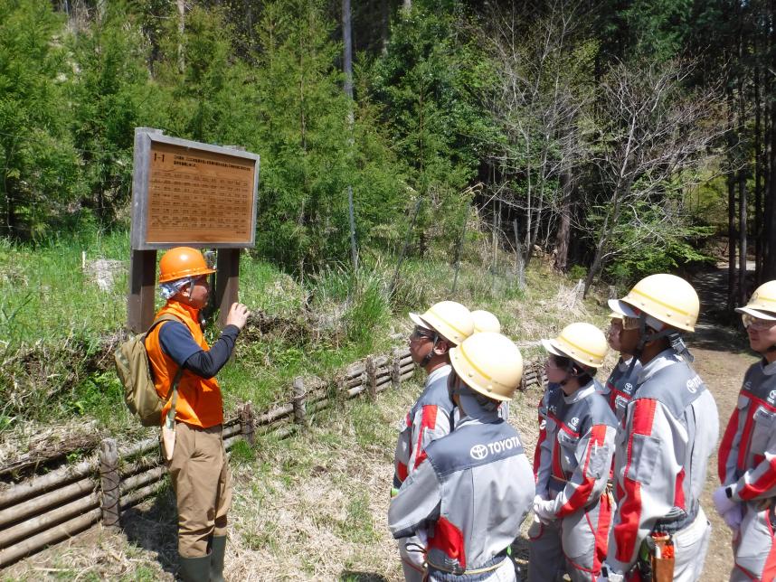 成長の森の説明