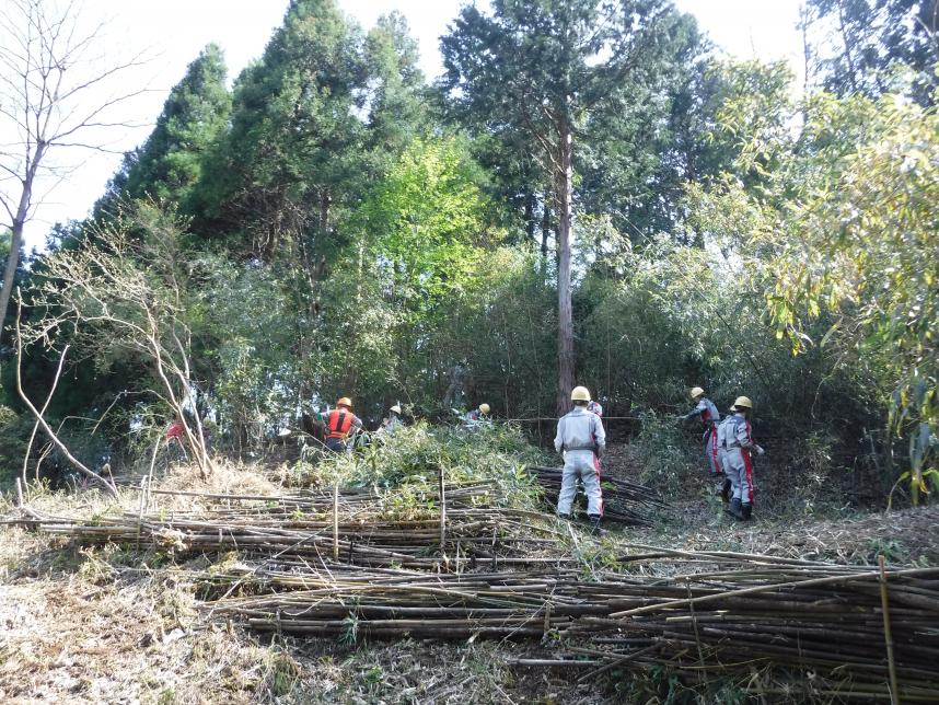 竹林整備