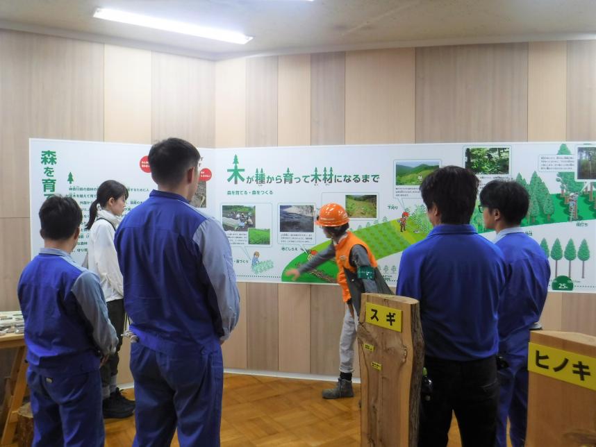 間伐作業の説明