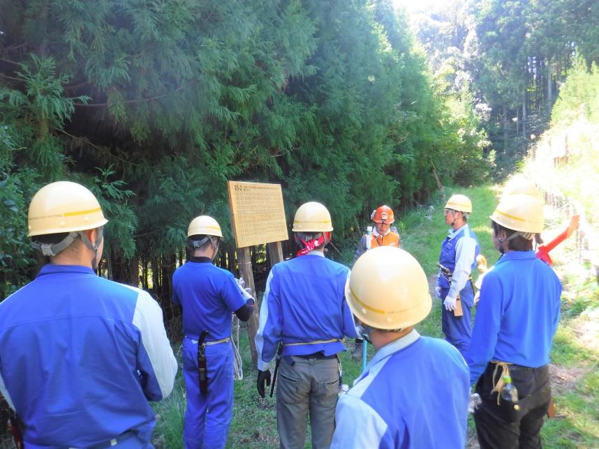 成長の森の説明