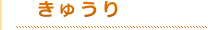 タイトルきゅうり（オレンジ）