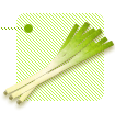 長ねぎ（緑）