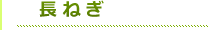 タイトル長ねぎ（緑）