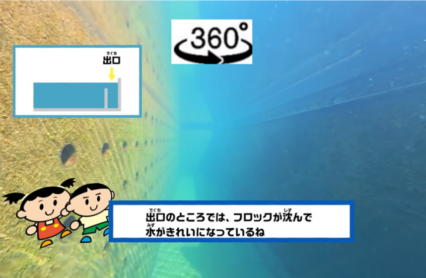 水中カメラで撮影した画像