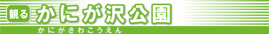かにが沢公園