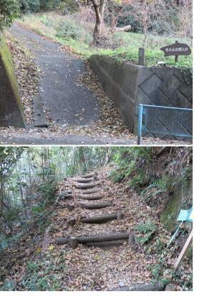 吾妻山公園釜野口画像