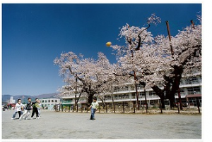 南小学校