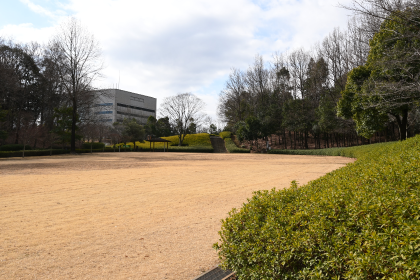 つつじの丘公園多目的広場、奥側から