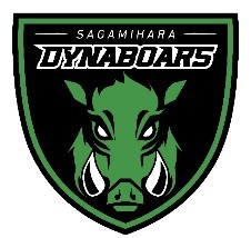 ダイナボアーズロゴ