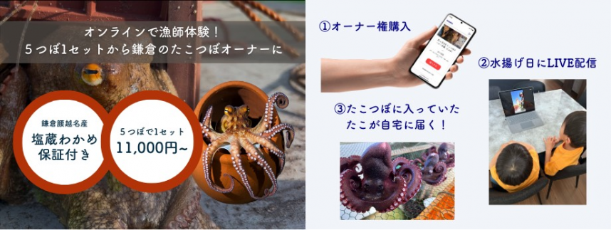 「たこつぼオーナー体験」サービスの流れ