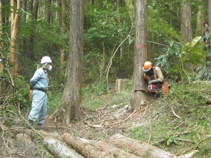 実習現場