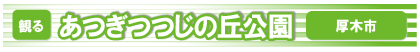 あつぎつつじの丘公園バナー