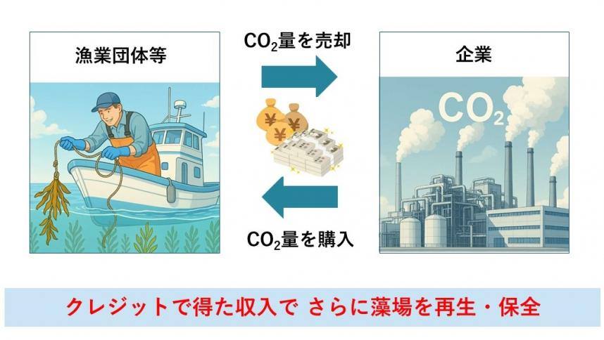 ブルーカーボンクレジット
