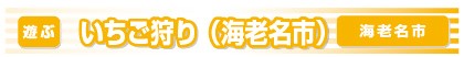 いちご狩り（海老名市）