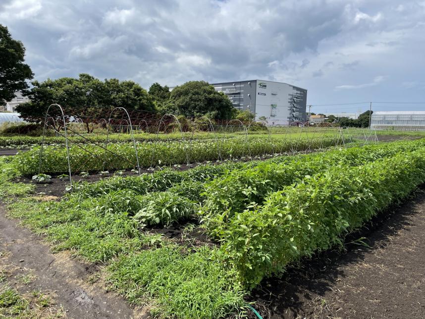 有機バスツアー2