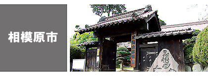 相模原-学ぶ