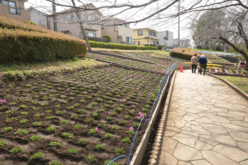かにが沢公園を囲む散歩道