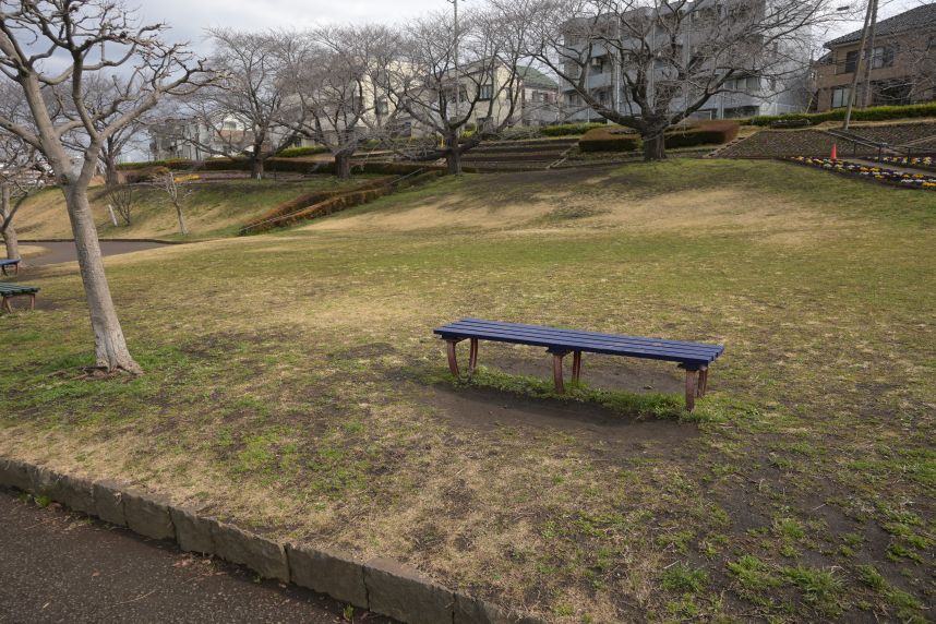 かにが沢公園の芝生広場