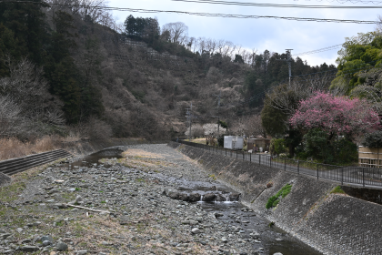 串川の様子