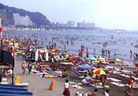 由比ガ浜海水浴場の写真