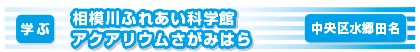 相模川ふれあい科学館アクアリウムさがみはら