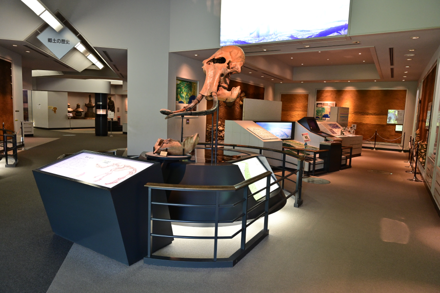 相模原市立博物館の展示例