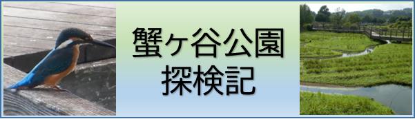 蟹ヶ谷公園-探検記タイトル