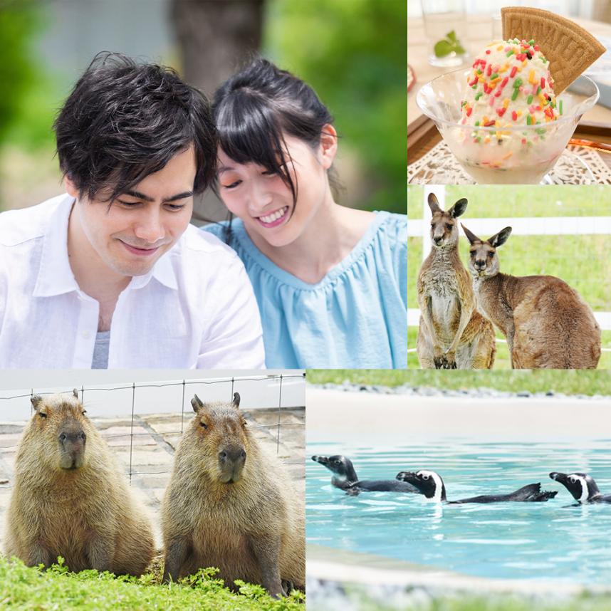 ソレイユの丘婚活イベントのイメージ画像