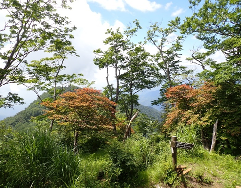 石棚山稜分岐