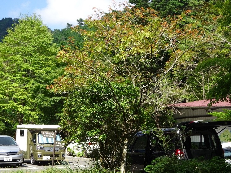 250917大山ヤビツ峠