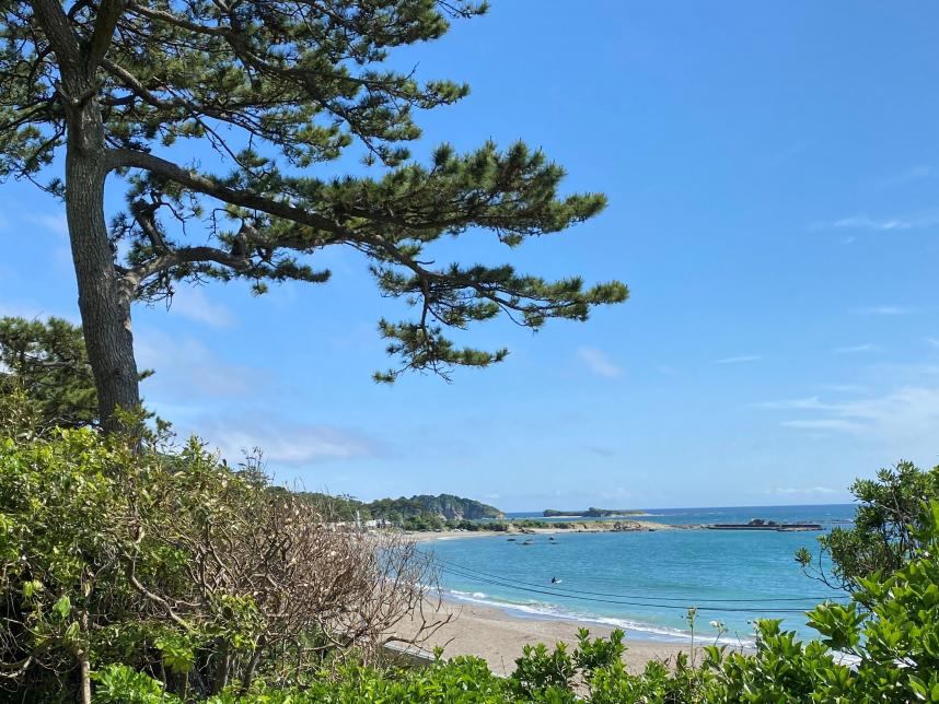 県立近代美術館からの海の眺め（葉山町）