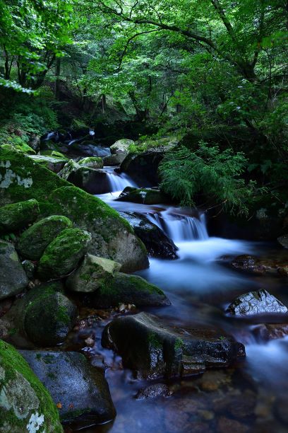 新緑の不動尻渓谷