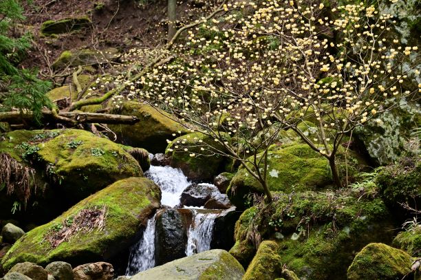 不動尻トップ画像