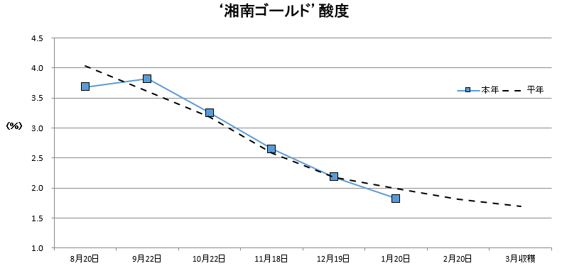 湘南ゴールド酸度